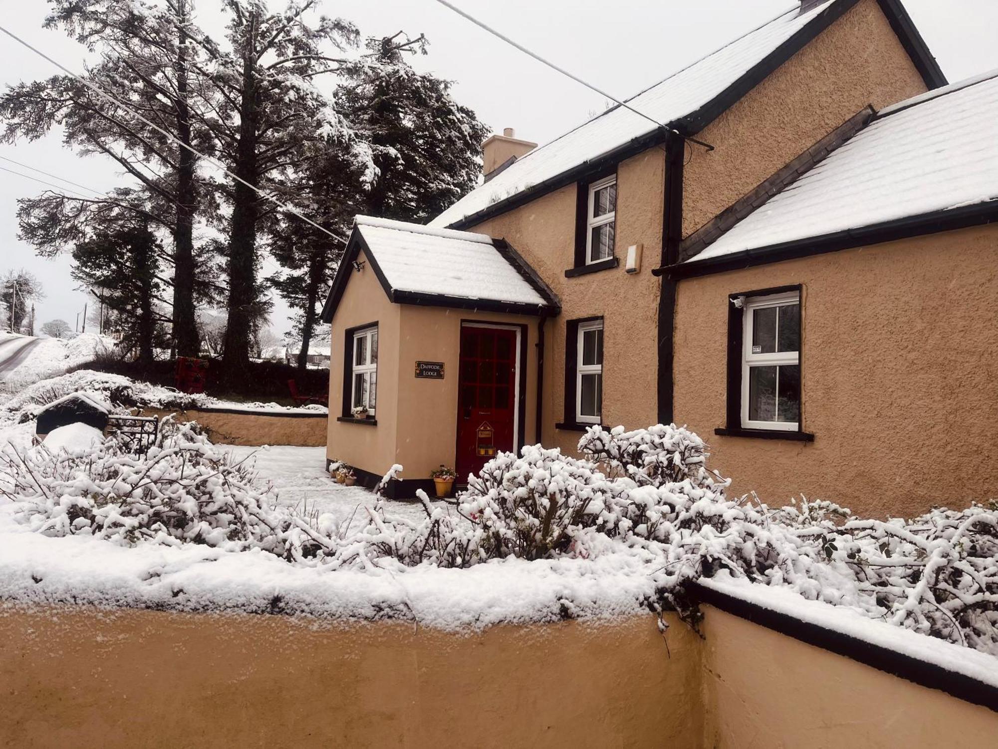 Daffodil Lodge Sligo Bagian luar foto