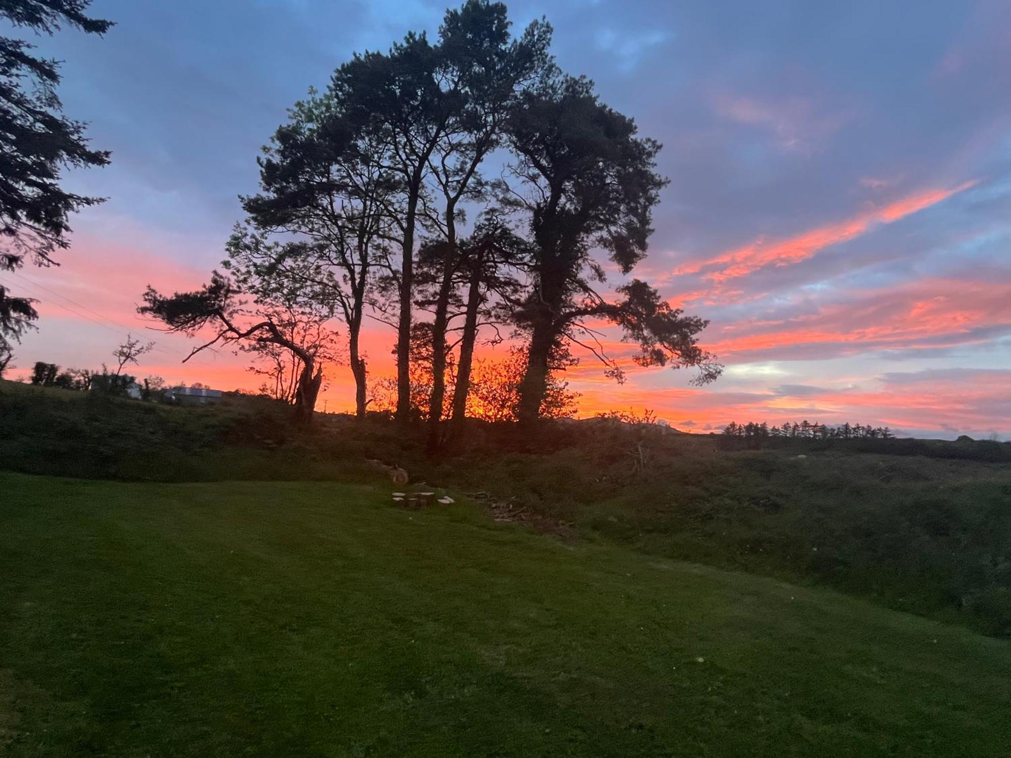 Daffodil Lodge Sligo Bagian luar foto